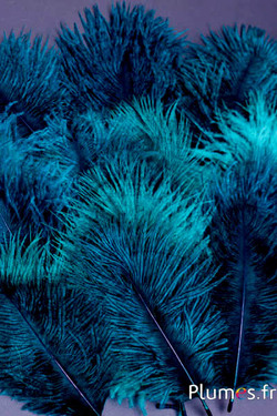 Struzzo barbules - 8-15 cm - rosso
